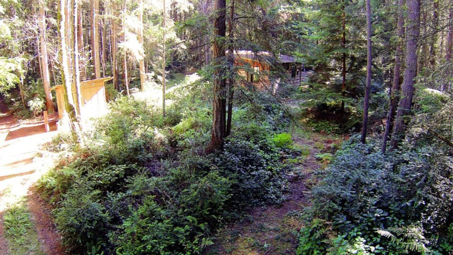 vashon-cabin-3