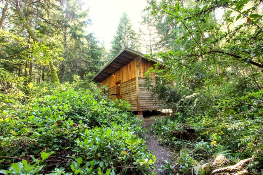 vashon-cabin-8