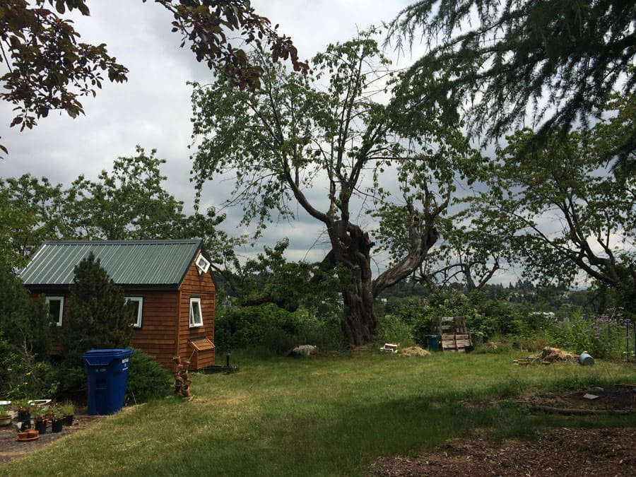 point-robinson-cabin-8