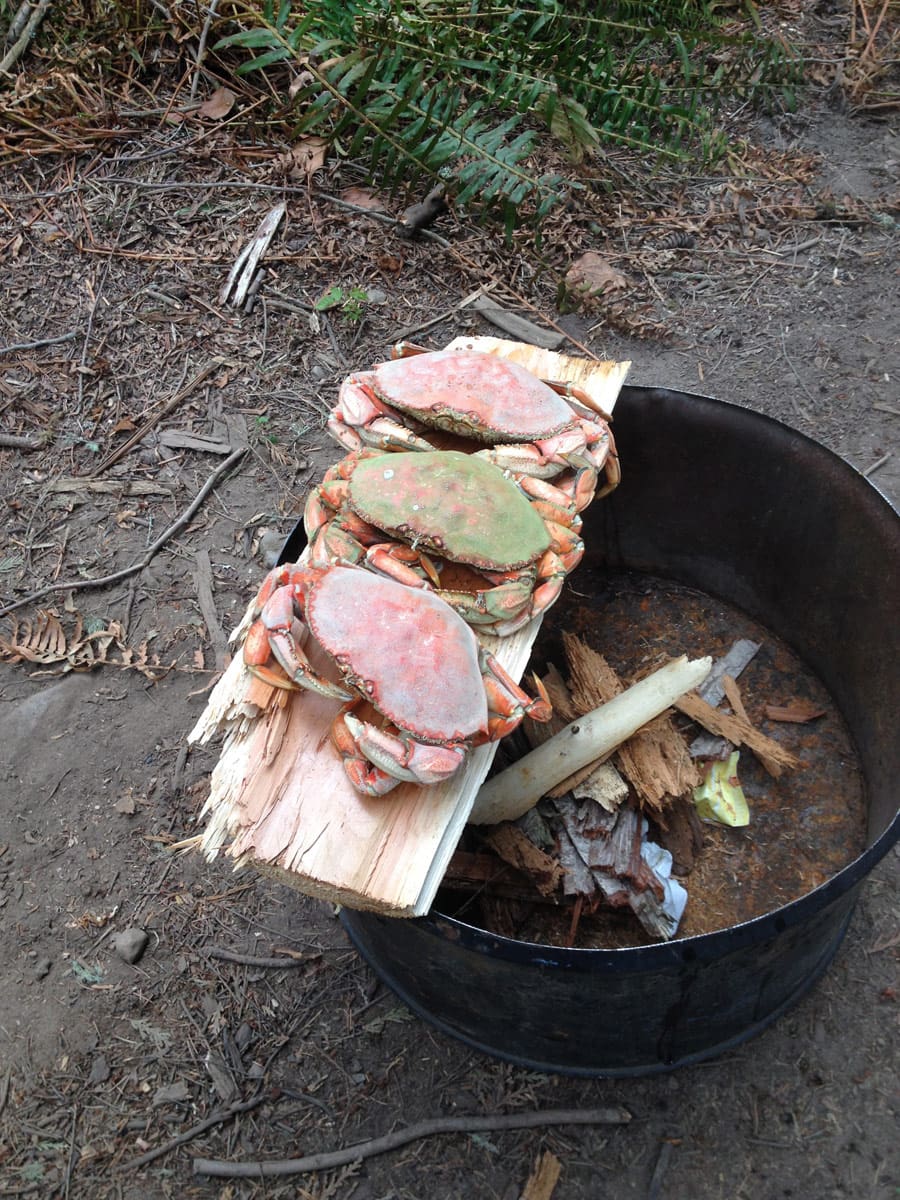 whidbey-island-yurt-6