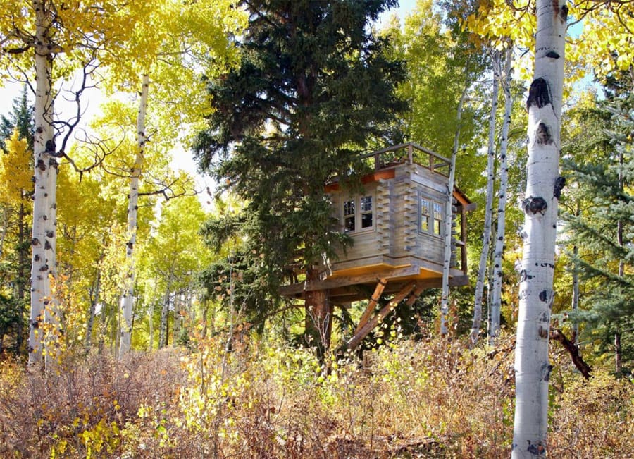 denver-treehouse-5