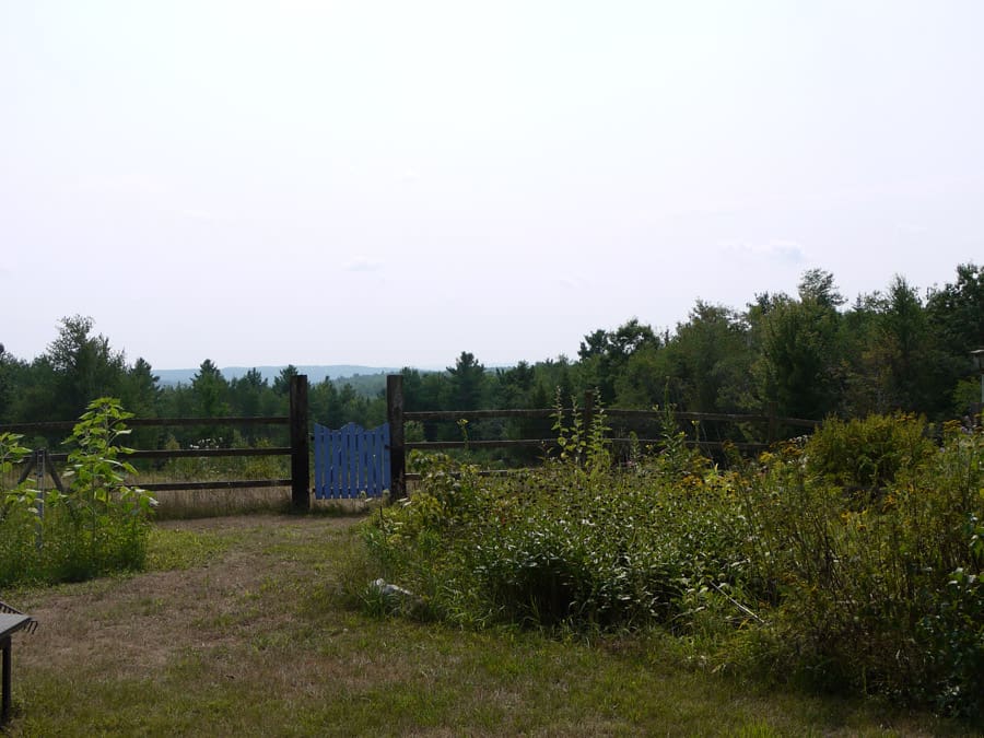 garden-shed-guest-house-8