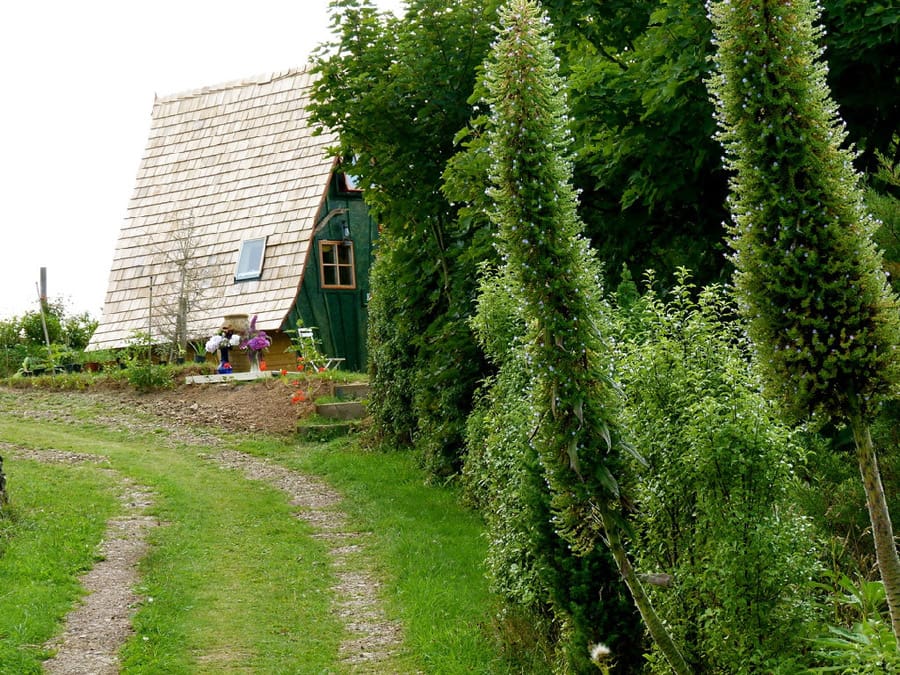 jack-sparrow-house-8