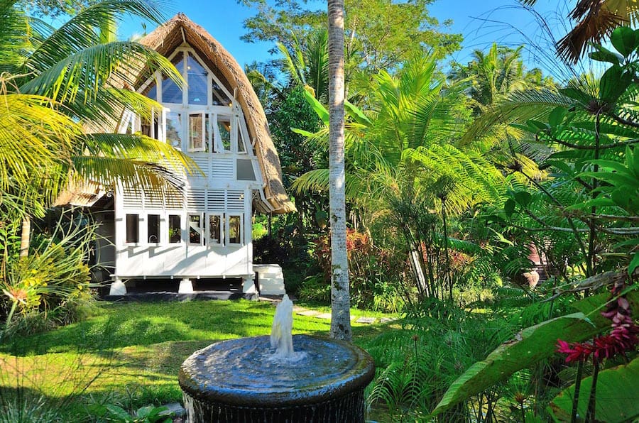 the-white-elephant-13