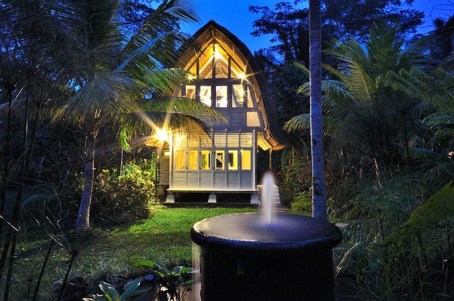 the-white-elephant-14