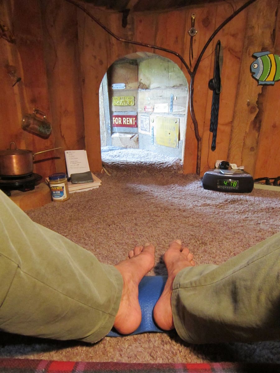 tiny-house-in-the-meadow-3