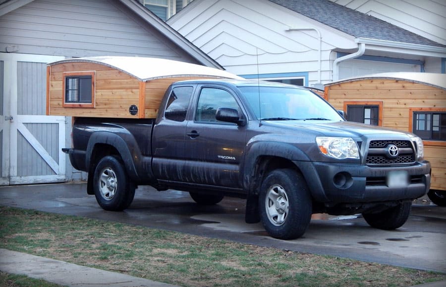 half-shell-casual-turtle-11