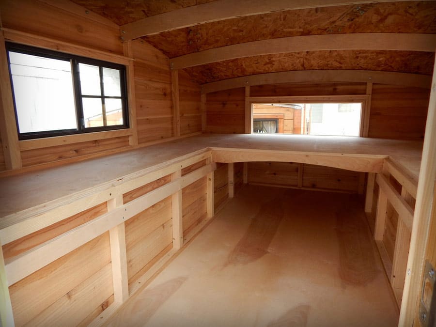 half-shell-casual-turtle-2