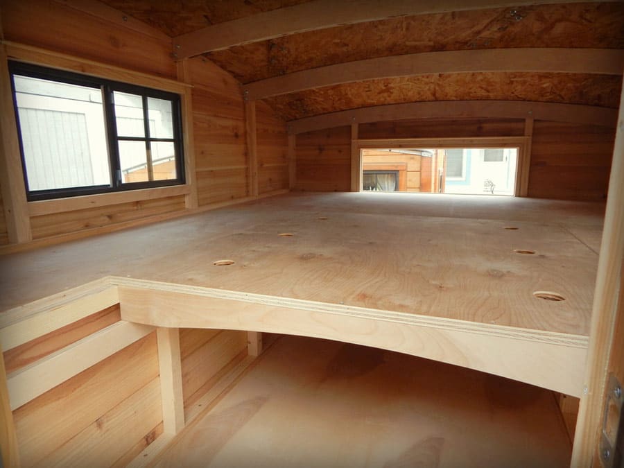 half-shell-casual-turtle-3