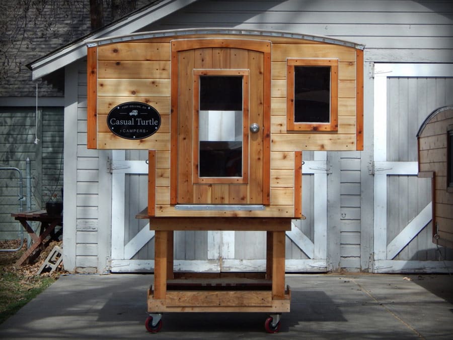 half-shell-casual-turtle-7