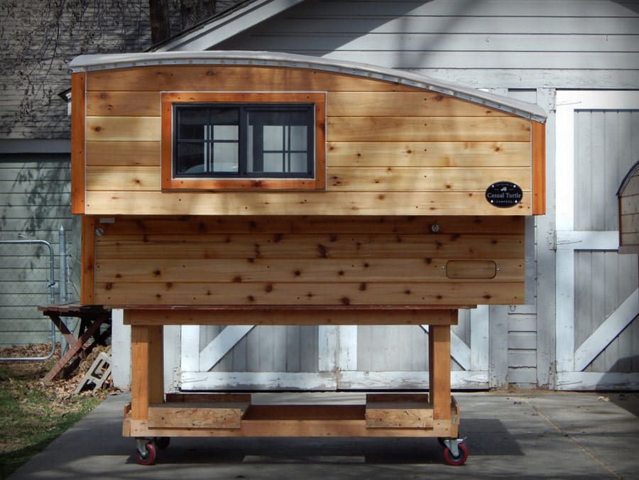 half-shell-casual-turtle-8