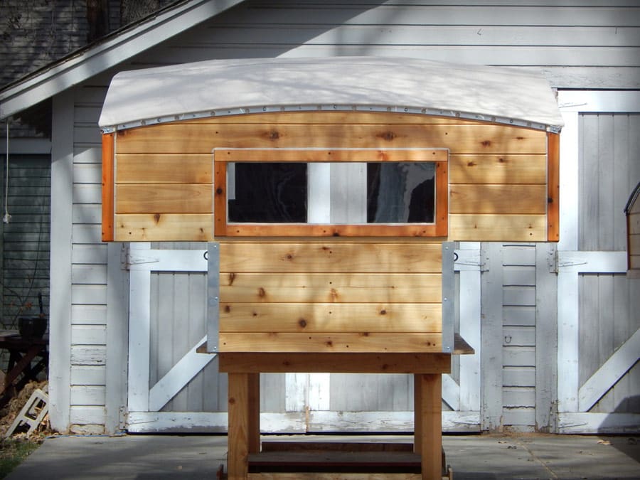 half-shell-casual-turtle-9