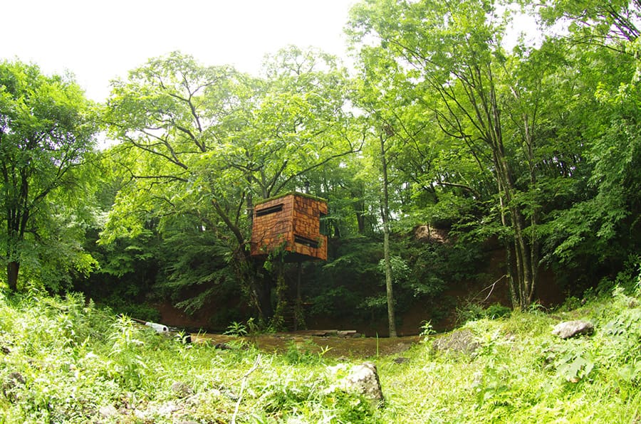 nasua-treehouse-takashi-kobayashi-1
