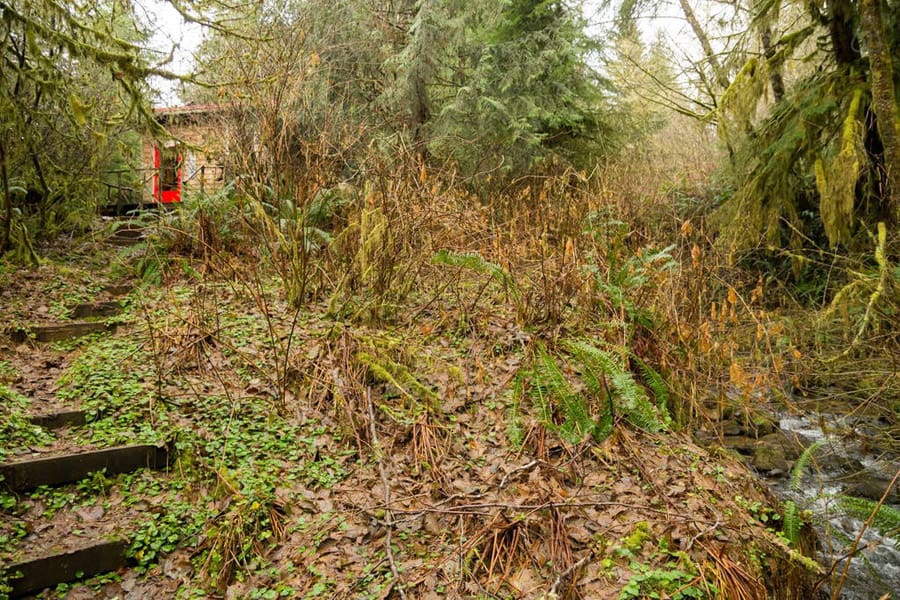 thimbleberry-creek-cabin-10