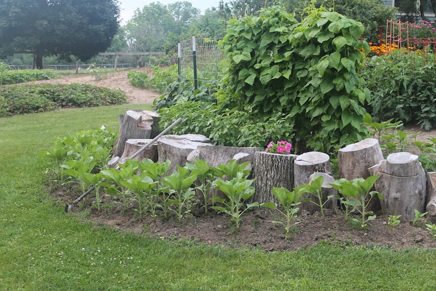 whitmore-lake-tiny-house-13