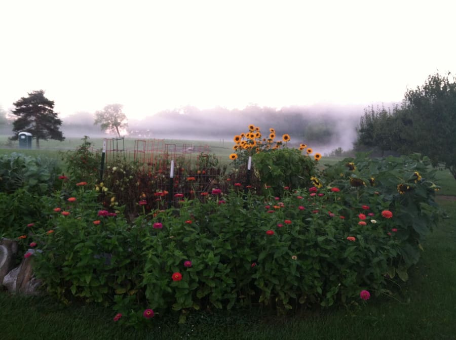 whitmore-lake-tiny-house-14