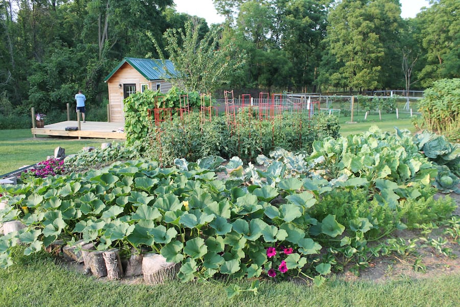 whitmore-lake-tiny-house-15