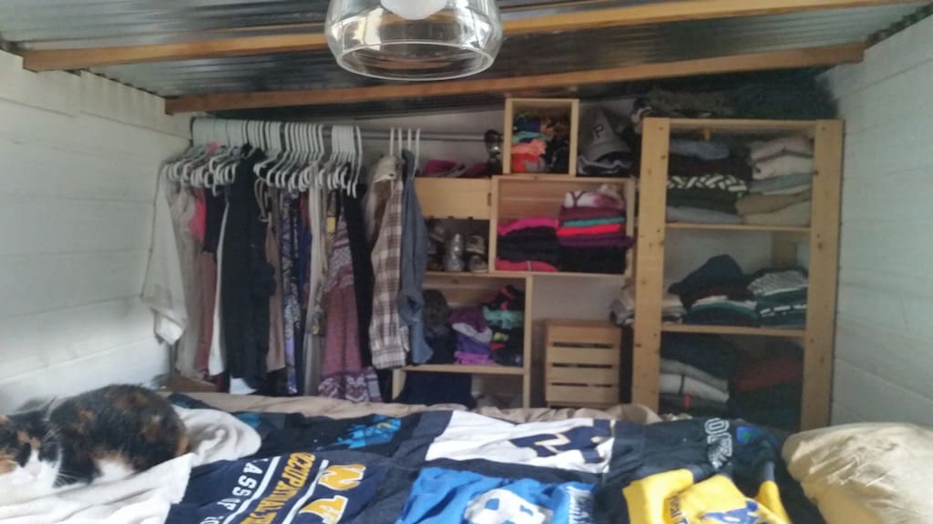 2-dogs-1-cat-tiny-house-12