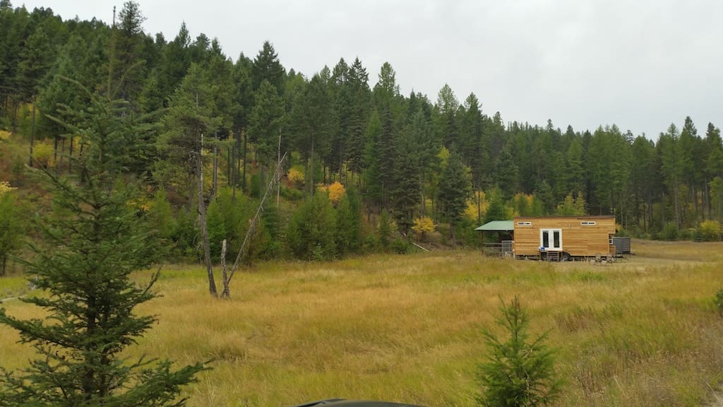 2-dogs-1-cat-tiny-house-16