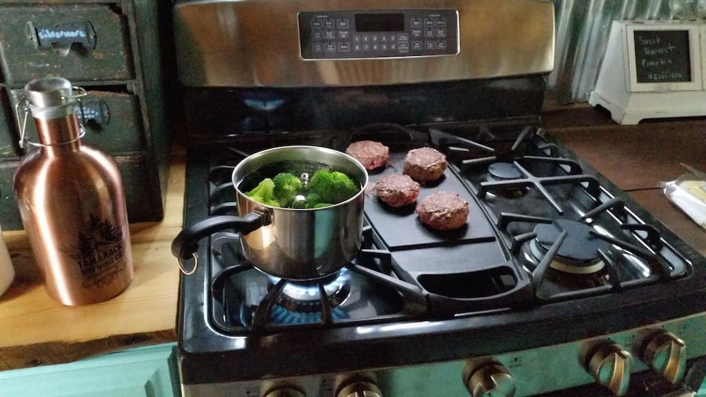 2-dogs-1-cat-tiny-house-7