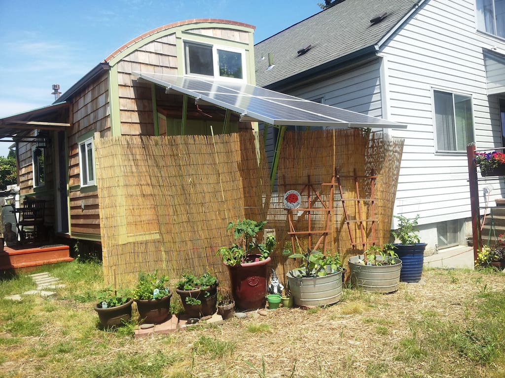 lilypad-eco-sanctuary-18