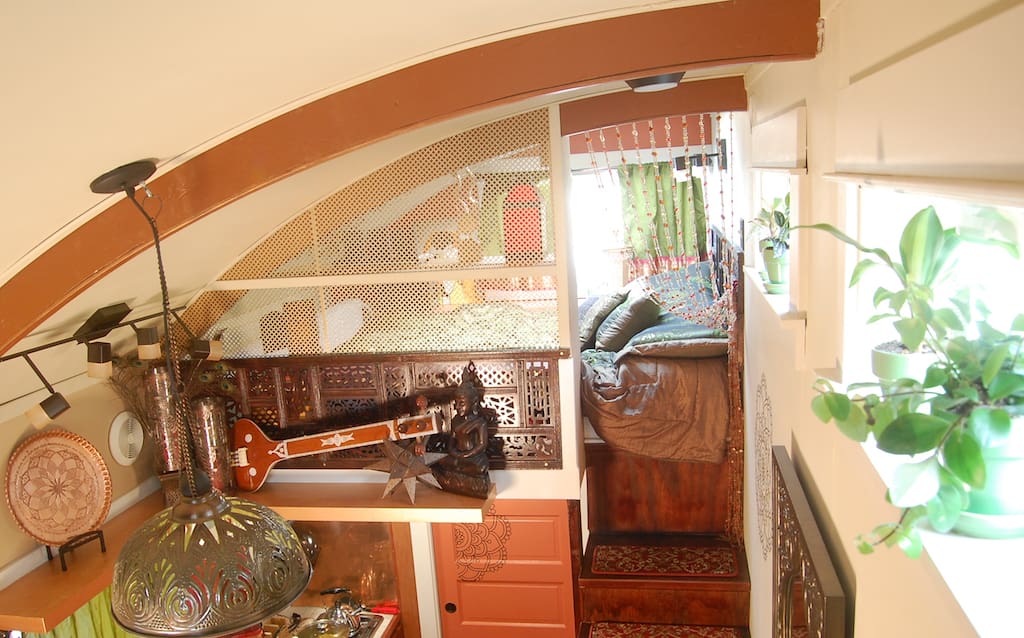 lilypad-eco-sanctuary-2