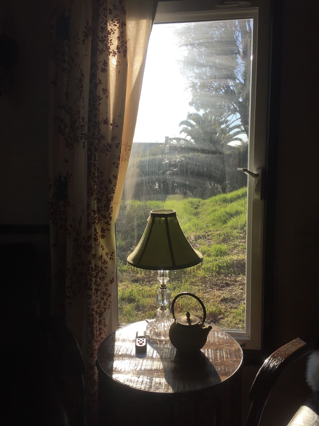 designer-tiny-house-14