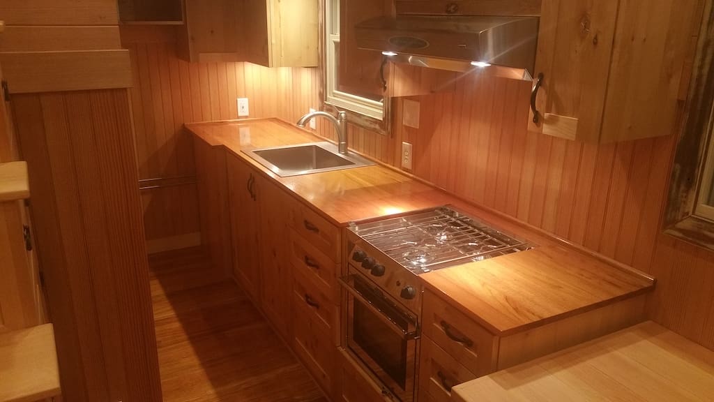 Doug Fir 1 doug-fir-15