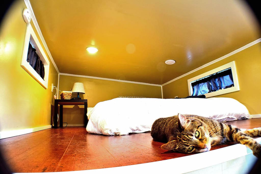 tiny-house-dwelling-6