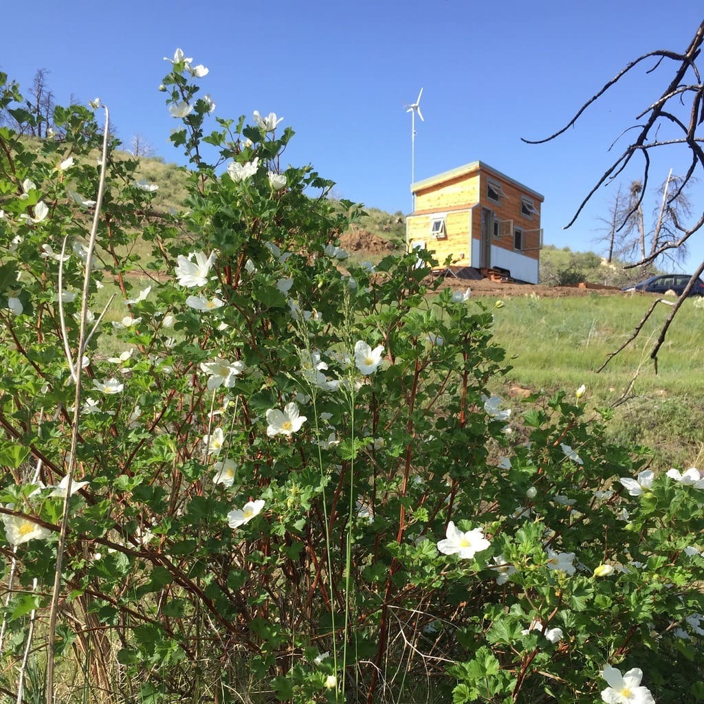 blue-moon-warners-hidden-corner-1