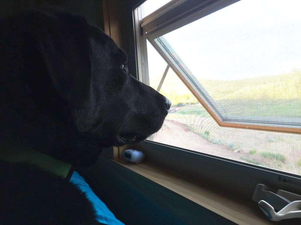 blue-moon-warners-hidden-corner-9