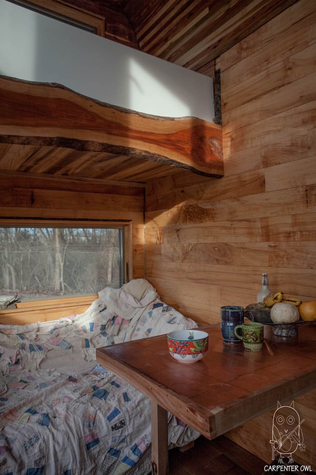 snails-away-carpenter-owl-10