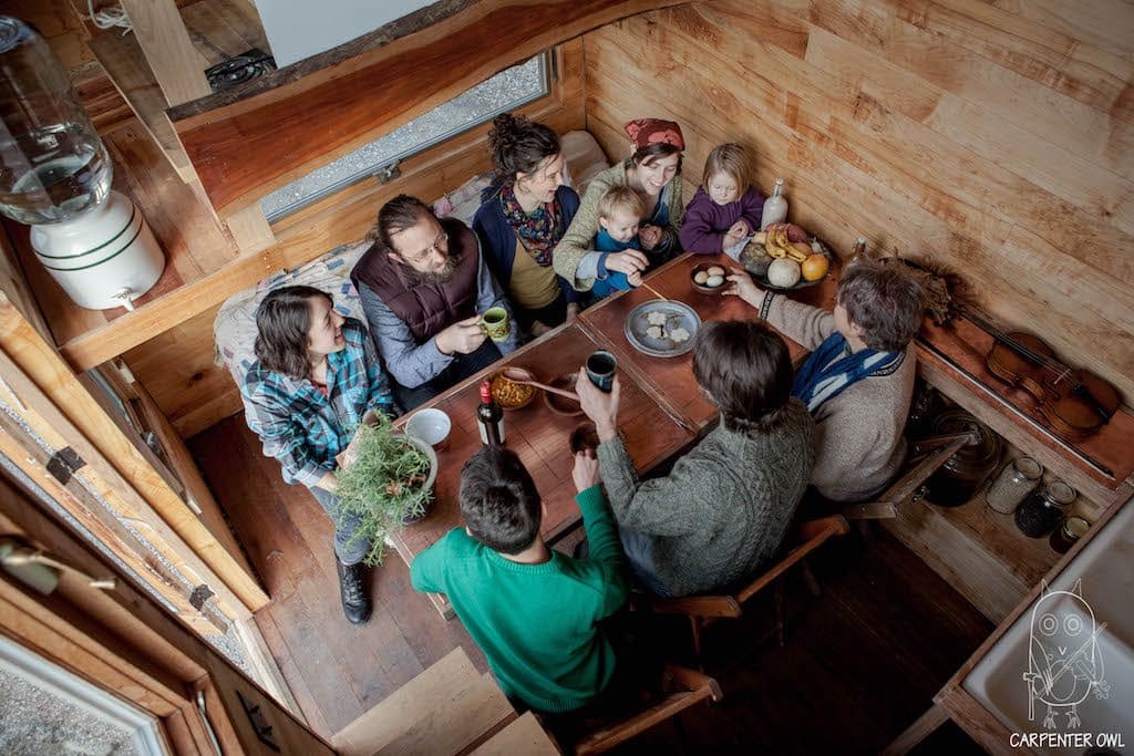 snails-away-carpenter-owl-2