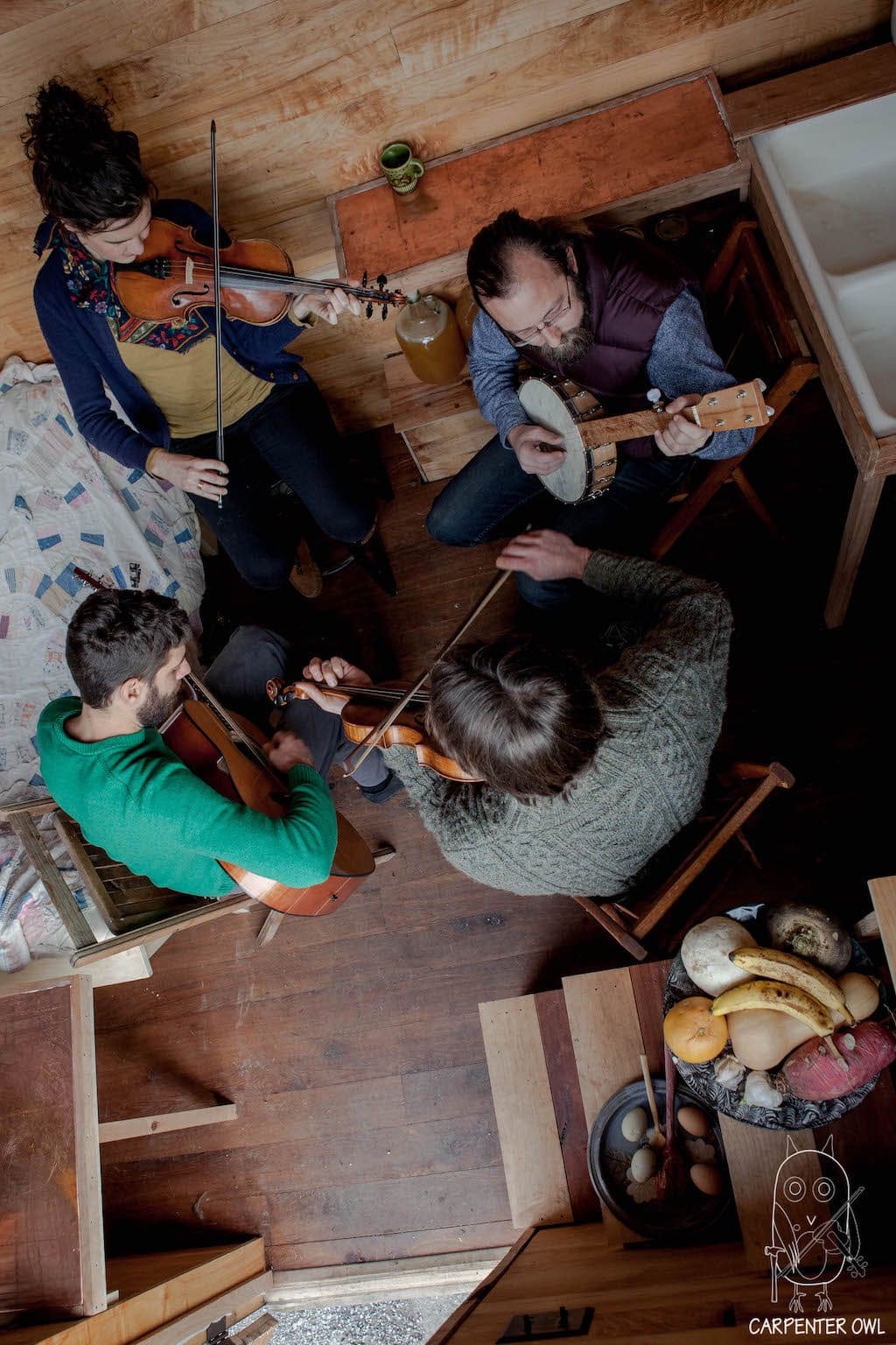 snails-away-carpenter-owl-3