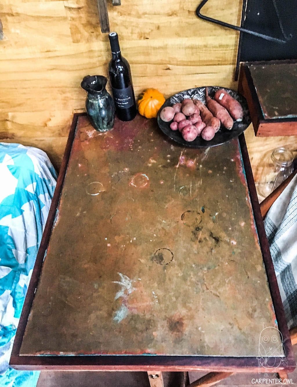 snails-away-carpenter-owl-7