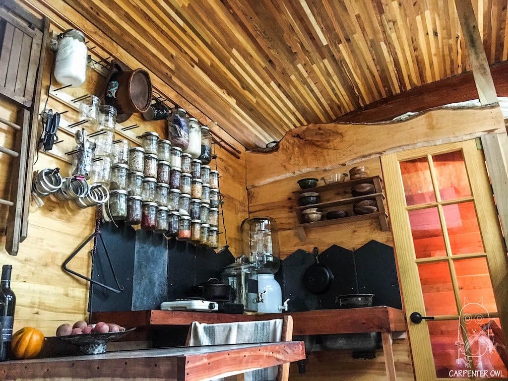 snails-away-carpenter-owl-8