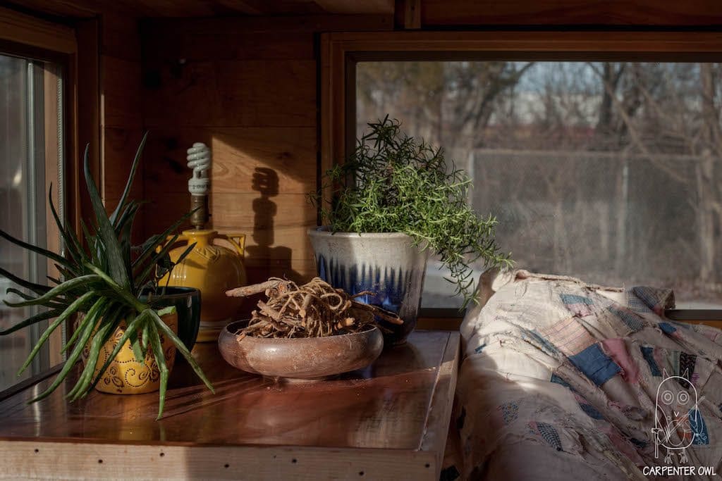 snails-away-carpenter-owl-9