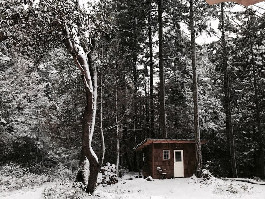 micro-shed-guest-house-1