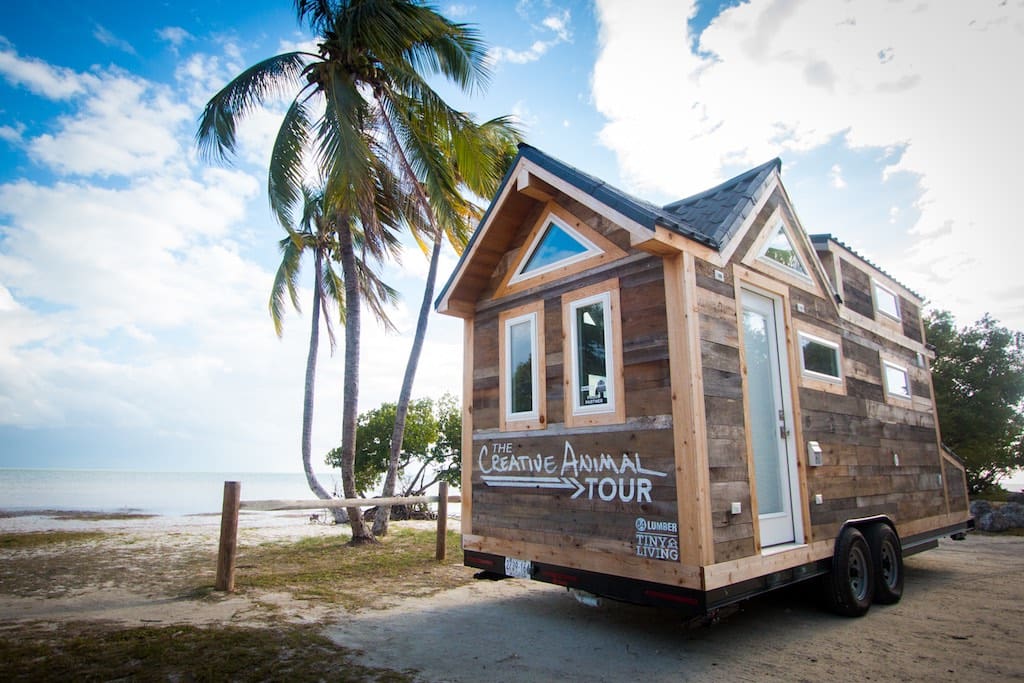 creative-animal-foundation-house-1