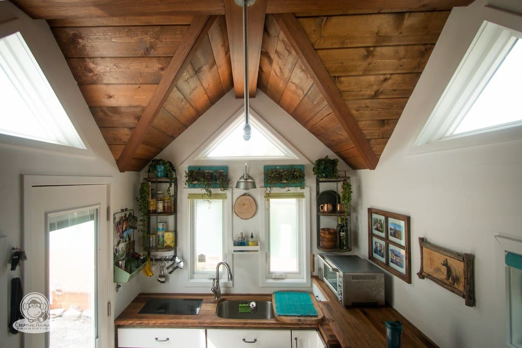 creative-animal-foundation-house-12