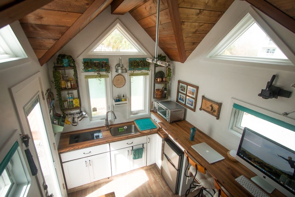 creative-animal-foundation-house-13