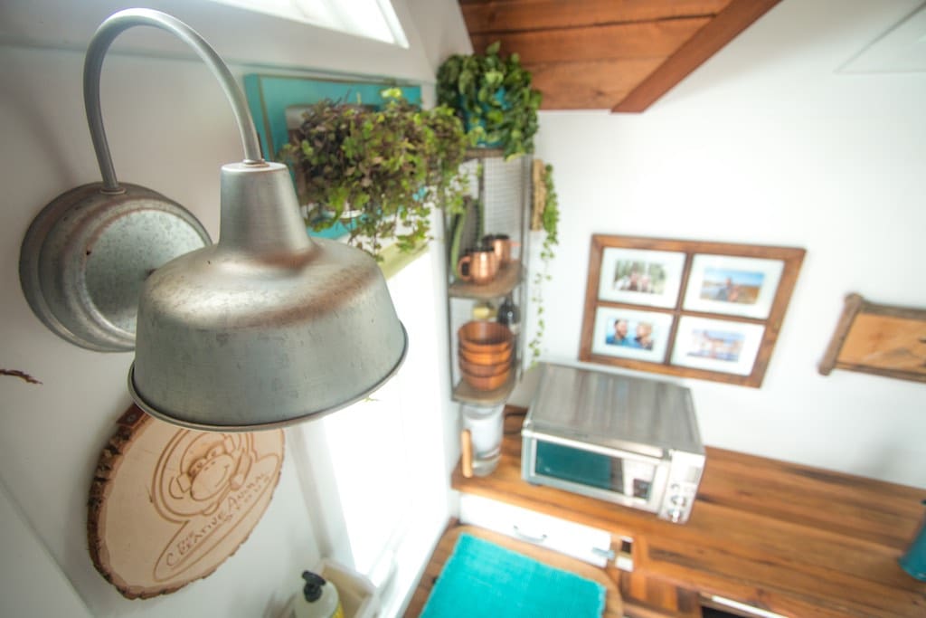 creative-animal-foundation-house-16