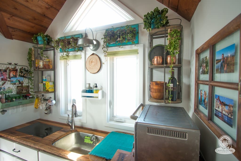 creative-animal-foundation-house-2