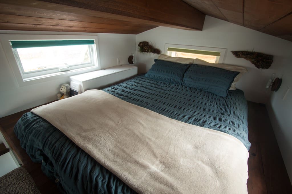 creative-animal-foundation-house-22