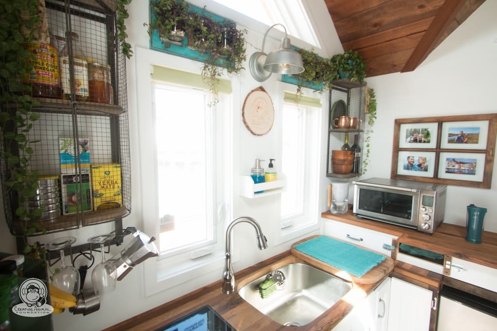 creative-animal-foundation-house-3