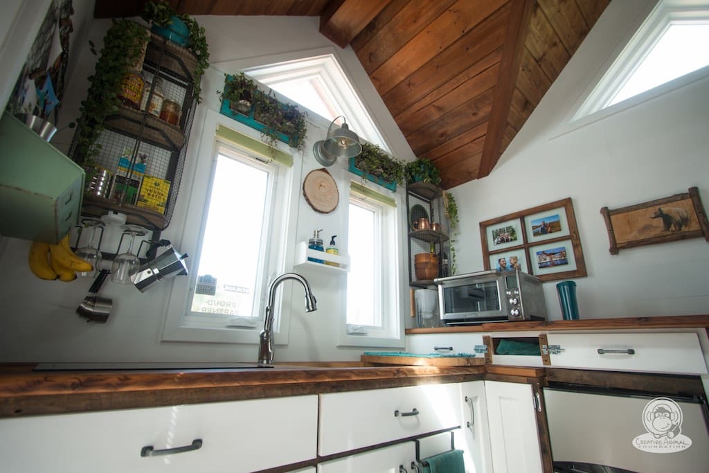 creative-animal-foundation-house-4