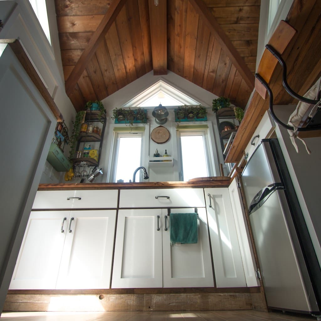 creative-animal-foundation-house-5