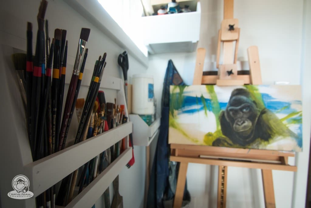 creative-animal-foundation-house-8