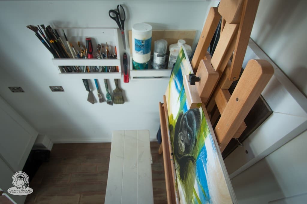 creative-animal-foundation-house-9