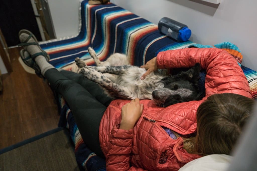 bearfoot-theory-van-12